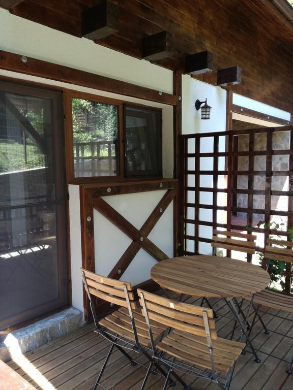 Apartament Casa Gozna Văliug