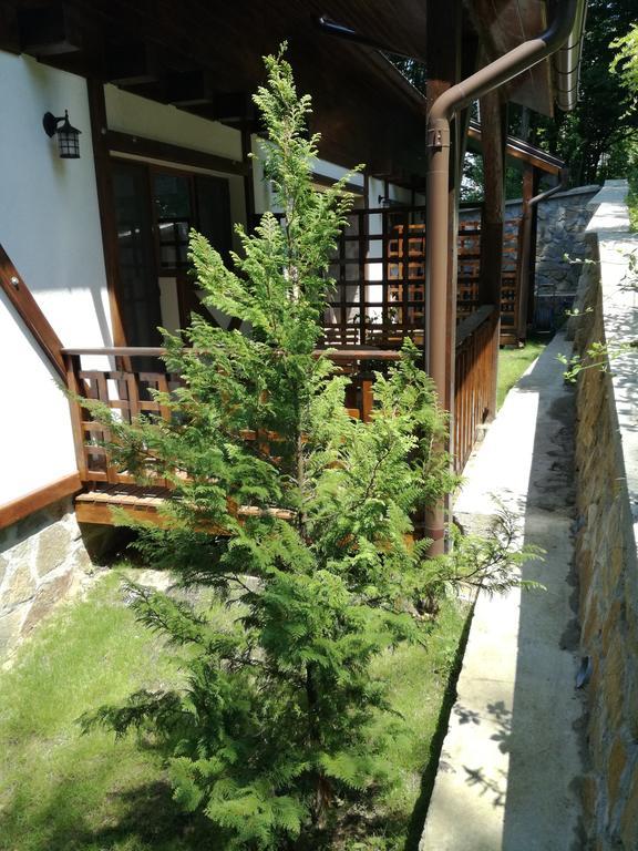 Casa Gozna * Văliug