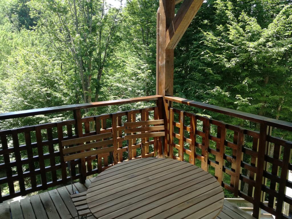Casa Gozna Apartament Văliug