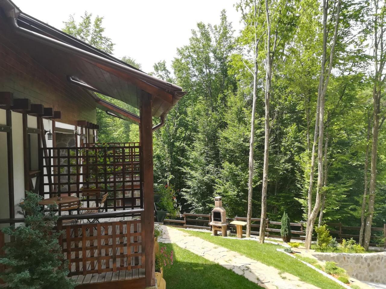 Casa Gozna Apartament